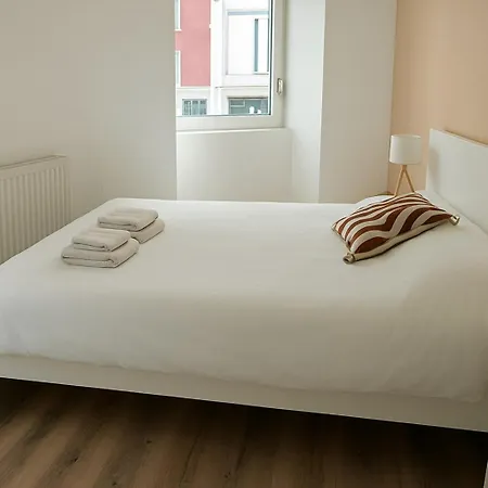 Apartment Chaleureux Appartement Centre Ville Bars Et Restaurants Mülhausen