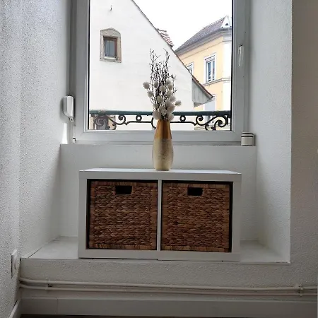 Chaleureux Appartement Centre Ville Bars Et Restaurants Apartment Mülhausen
