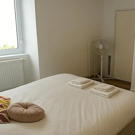 Apartment Chaleureux Appartement Centre Ville Bars Et Restaurants Mülhausen