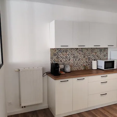 Chaleureux Appartement Centre Ville Bars Et Restaurants * Mülhausen