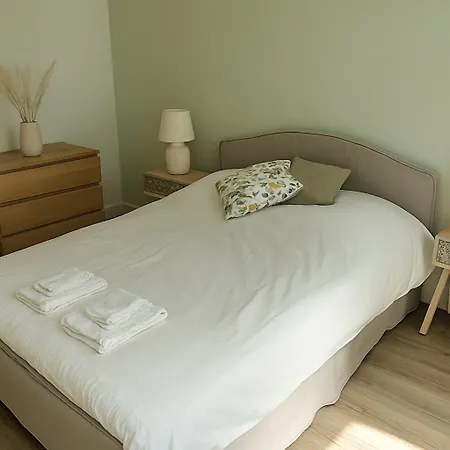 Chaleureux Appartement Centre Ville Bars Et Restaurants Apartment Mülhausen